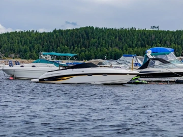 Import von Immunreagenzien-Agenturen: Ein Kuchen oder eine Falle?