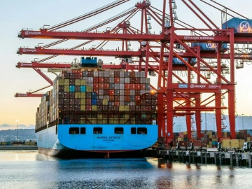 Erstaunlich! Es gibt solche Tricks für den Export von Gelben Mehlwürmern aus Qingdao!