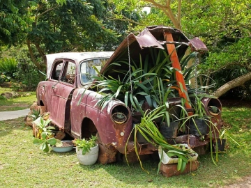 Les secrets des agents d’import-export aérien international de Wuhan que vous ignorez