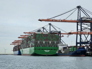 Sie glauben, die Zollanmeldung für den Import von täglichen Gebrauchsgegenständen sei einfach? Weit gefehlt!