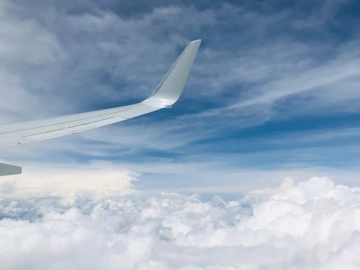 What problems should we pay attention to when looking for an agent to export by ourselves?