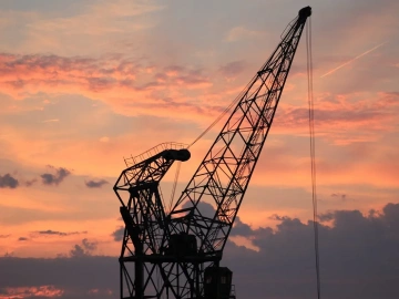 How long does the foreign trade agency tell you to import customs clearance goods?