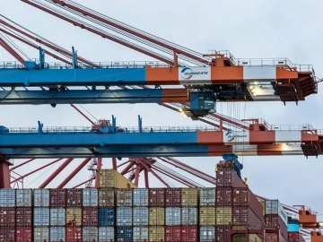 Qingdao Rosewood Import Customs Declaration Agency: Are You Aware of These Pitfalls?