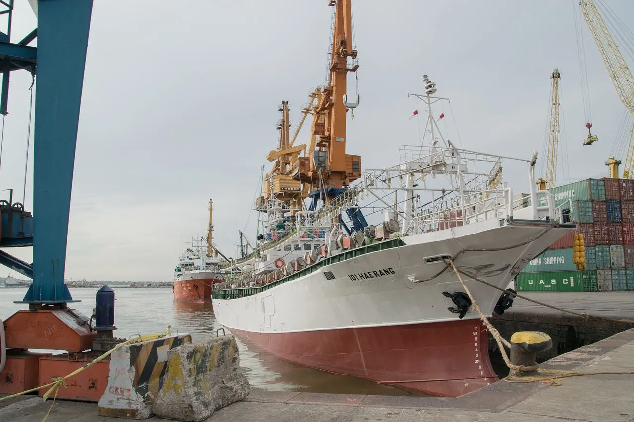 Is Re-export Trade Risky? Don't Be Misled by Appearances!