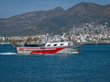 What are the common foreign exchange settlement methods for foreign trade imports?