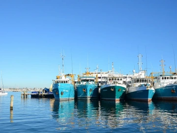 Ist der Export von Klimaanlagen über Agenten tatsächlich ein Geschäft mit hohen Gewinnmargen?