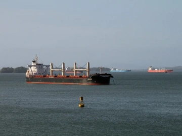 Ne perdez plus de temps ! Voici comment gérer efficacement votre activité de courtage en remboursement de taxes d’import-export