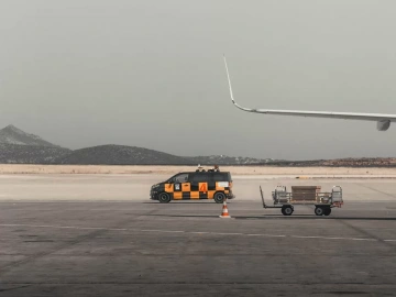 Agent Import Customs Declaration and Clearance? Do you know all the ins and outs!