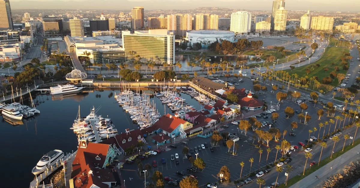 Überraschung! Diese Geheimnisse verbergen sich hinter den Olivenölpreisen