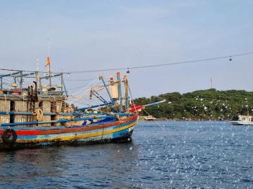 Enthüllung der Preise für Import- und Exportagenturen in Hangzhou!