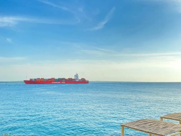 Incroyable ! Il y a tellement de subtilités dans le paiement des impôts par les agents d’import-export