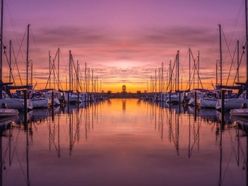 Import and Export Agency: The "Cheat Code" for Foreign Trade