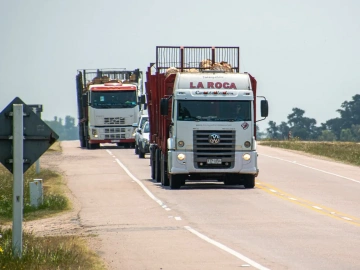 Import von Immunreagenzien-Agenturen: Ein Kuchen oder eine Falle?