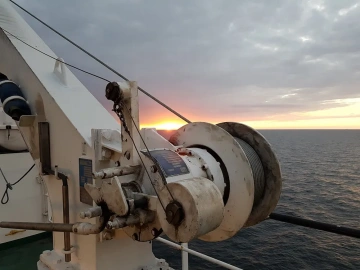 Re-export Trade Fees? Everything Explained Here!