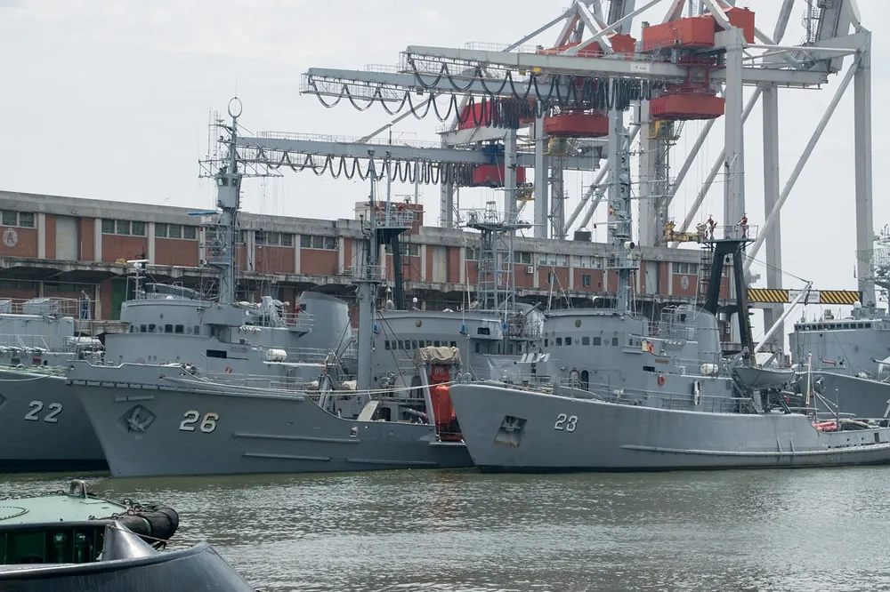 Fun Reveal: The Wonderful Journey of Dongguan Import Agency Services