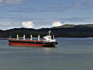 Import von Pigmenten blockiert? Leitfaden eines erfahrenen Zollagenten aus Shanghai zur Vermeidung von Fallstricken