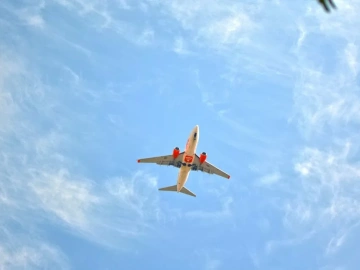 Hangzhou Import and Export Agency Price Unveiled!