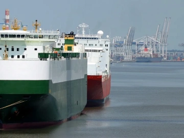 Qinghai Import Agent: The Wealth Code You Don’t Know