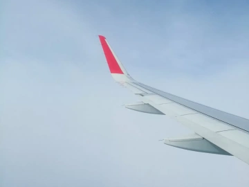 Who is the invisible champion of import and export agents?