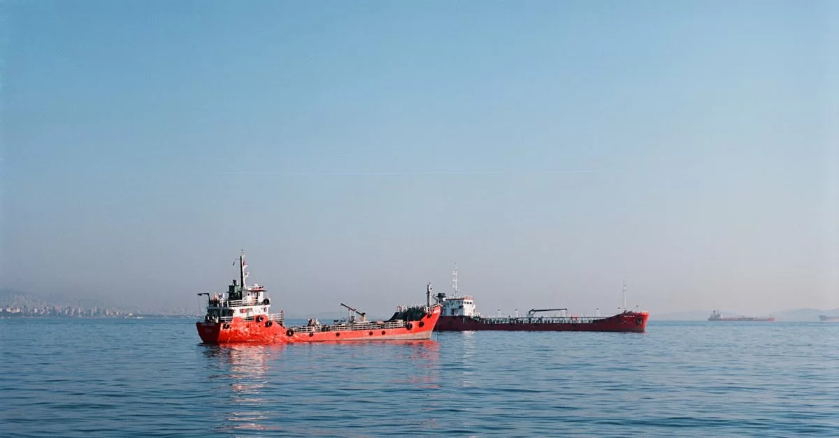 陝西国内輸入代行、近道かそれとも落とし穴か？