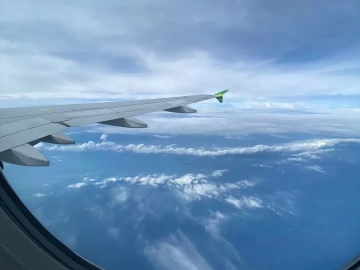 What are the duties of a foreign trade import and export agency?