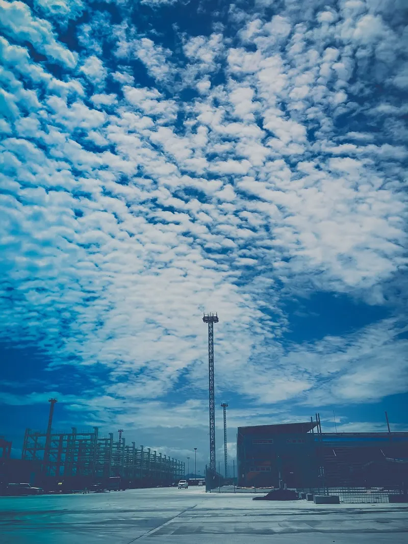 ¿Derecho de importación y exportación en 15 días? ¡No lo creas!