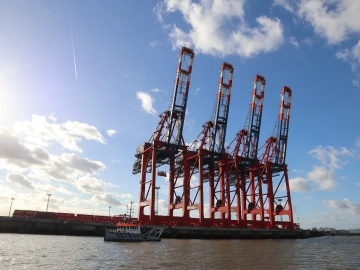 Is it really that easy to be a food agent for imported food in Shandong?