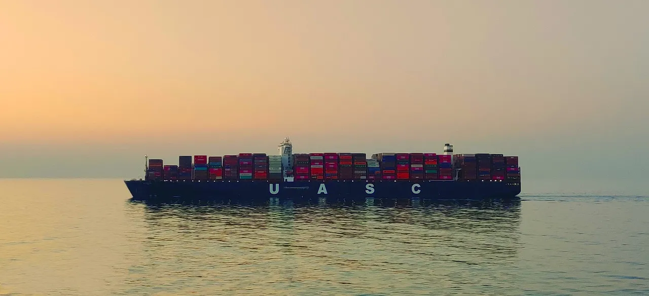 Exportagentur Haian: Brauchen Unternehmen sie wirklich?