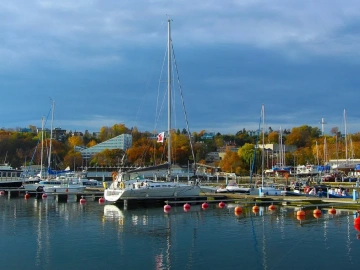 Hubei export logistics agency company, surprisingly so awesome?