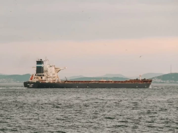 Stop the Unnecessary Hassle! For Cream Import Customs Clearance, This Is the Right Choice