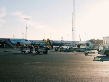 Uncovering the Dark Side of Import Agency