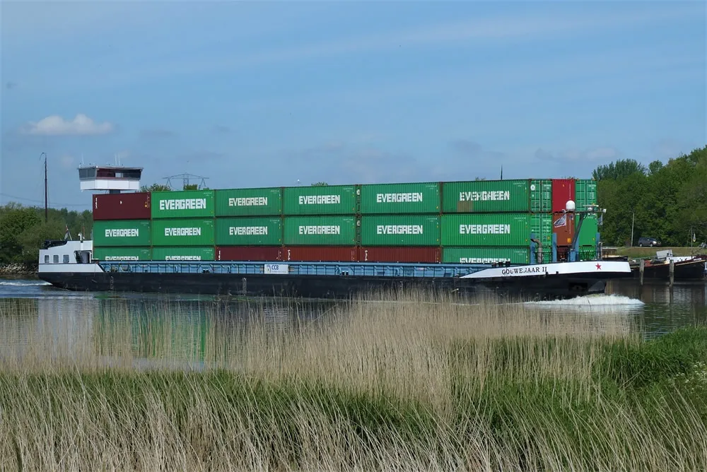 왜 지금 와인 대리점을 하는 것이 ’바닥 매수’ 시기라고 할까요?