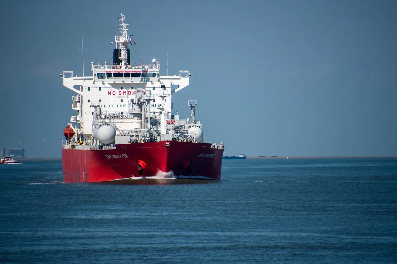 ¿Qué secretos ocultos hay detrás del despacho de aduanas de importación de artículos de primera necesidad?