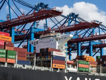 Hai'an Export Agent: Do Businesses Really Need One?