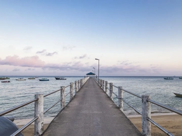 Stupéfiant ! Les sociétés d’agents d’import-export de marchandises recèlent ces secrets
