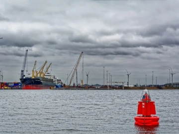 What are the duties of a foreign trade import and export agency?