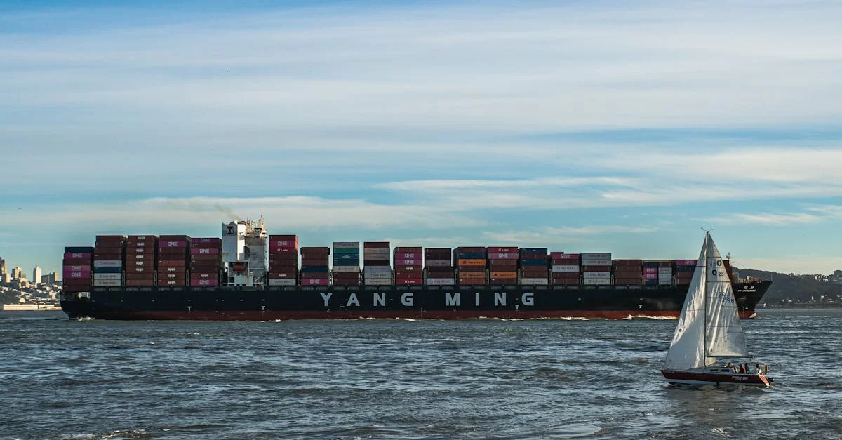 Исследуйте экспортного агента личинок мучного червя из Циндао, не посмотреть - большая потеря!