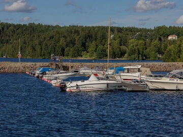 How Important Are Freight Forwarders? You Won't Know Until You Read This!