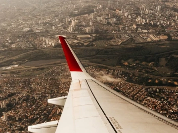 Qingdao Red Wine Import Agency, Things You Didn't Know!