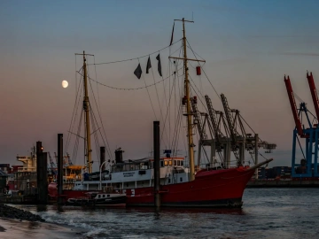 Stupéfiant ! Les sociétés d’agents d’import-export de marchandises recèlent ces secrets