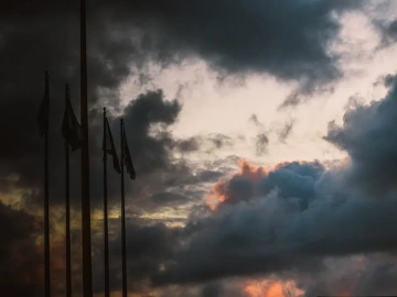 Stupéfiant ! Les sociétés d’agents d’import-export de marchandises recèlent ces secrets