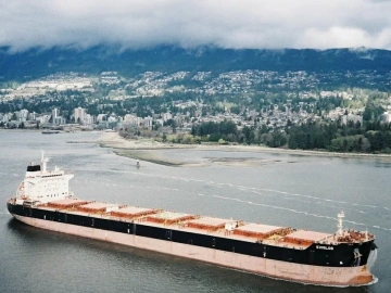 Thermometer Export Agency? Here are the Secrets You Must Know!