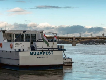 Agent de dédouanement à l’importation de bois de rose à Qingdao, connaissez-vous ces pièges ?