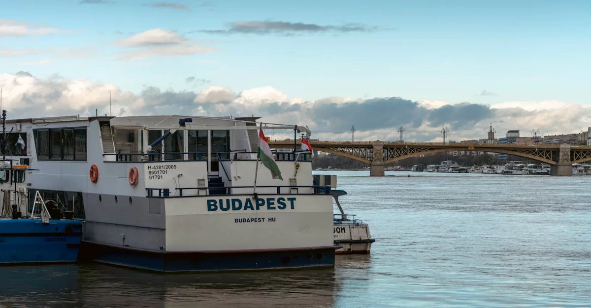 수입 대행 서비스, 정말 마법 같나요?