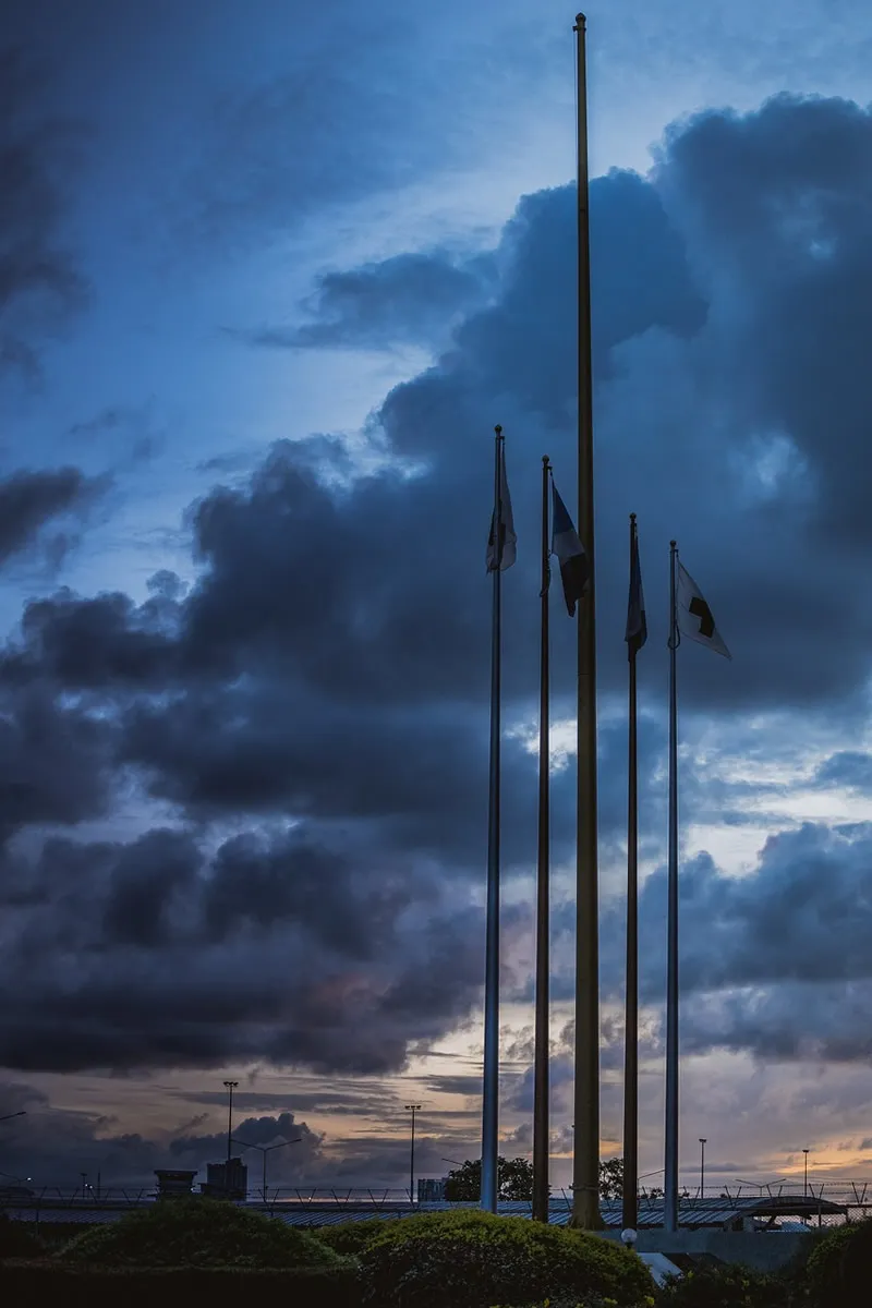 ¡Gran Revelación de Precios de Agentes de Importación y Exportación en Hangzhou!