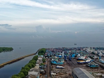 Import von Immunreagenzien-Agenturen: Ein Kuchen oder eine Falle?