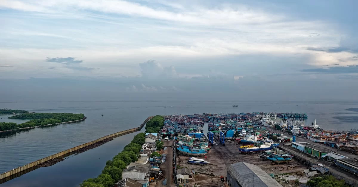 수입 RF 대행의 이면, 90%의 구매 담당자는 모른다