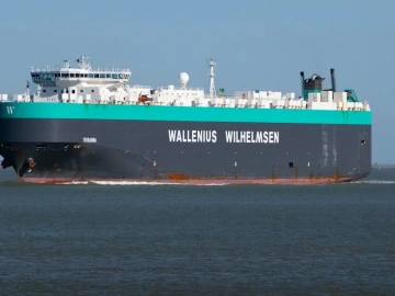 Die Wahrheit über Schanghai Import-Seefrachtagenten, die Sie nicht kennen