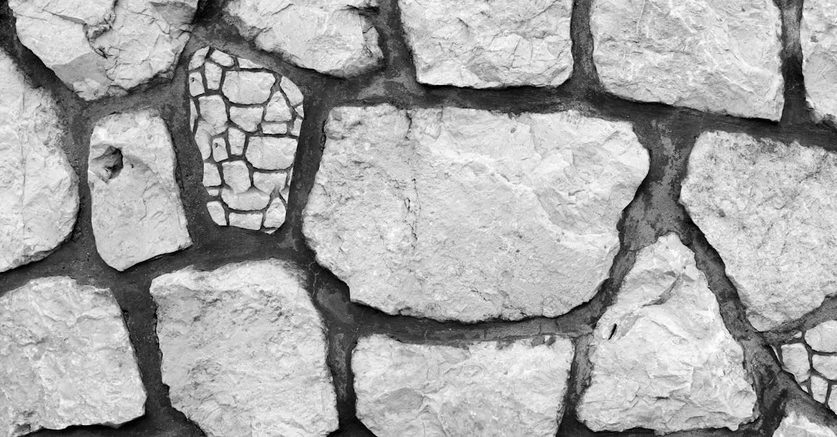 Imported Tile Agency Companies: Treasure or Pitfall?