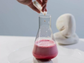 Foreign Exchange Operations for Import Agency Determine Business Survival